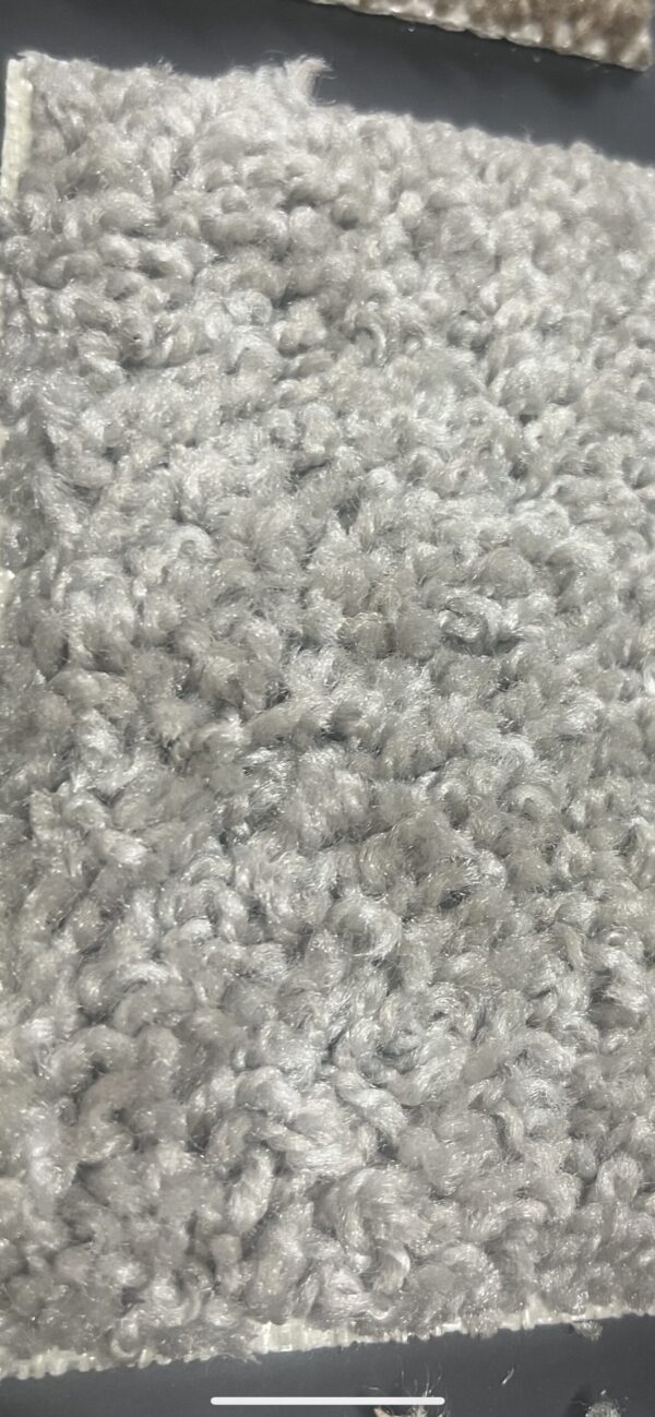 IN STOCK Carpet Color Bayside